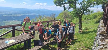 11 mini tabor hb  25